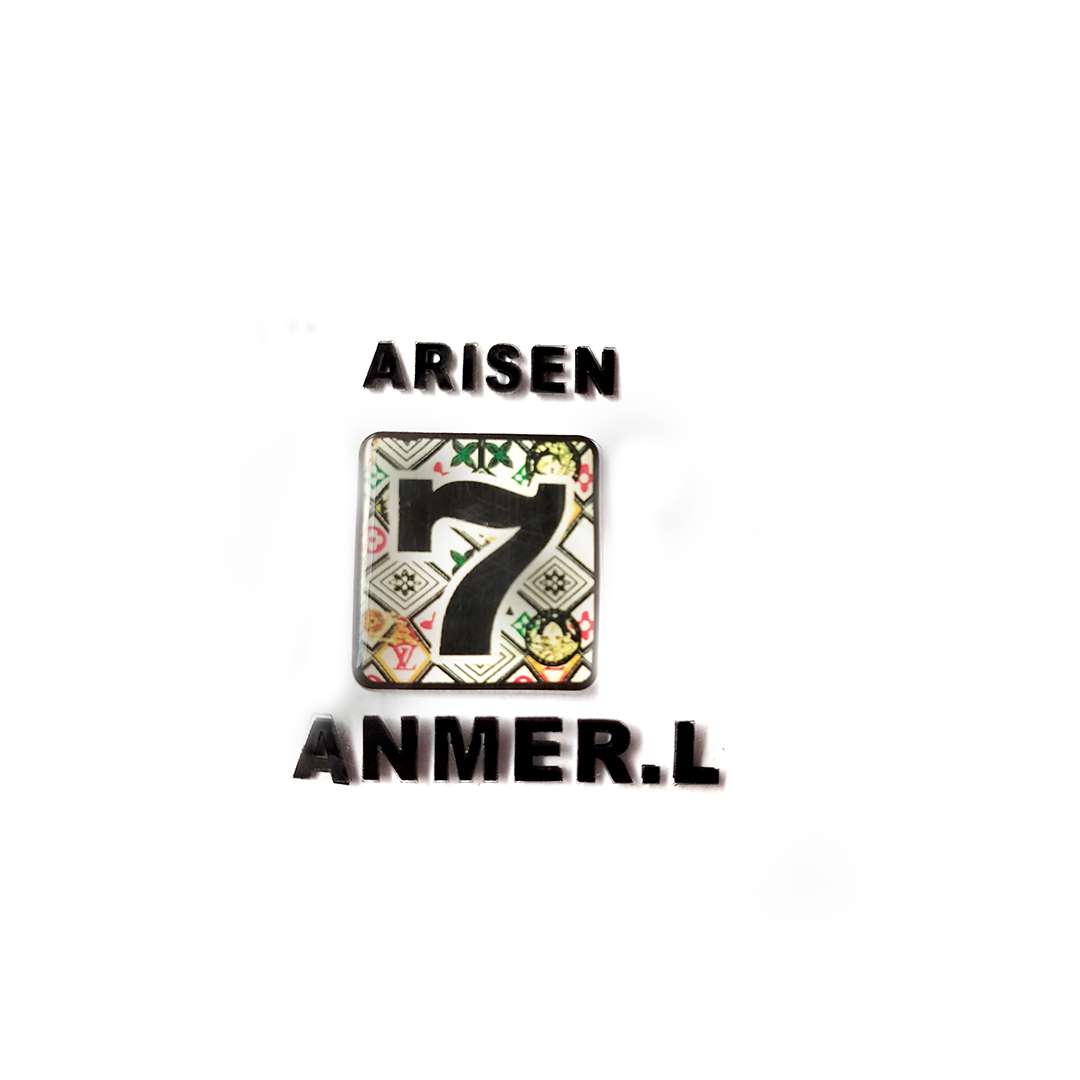 Arisen Danmer.l Silicon Raiging logo