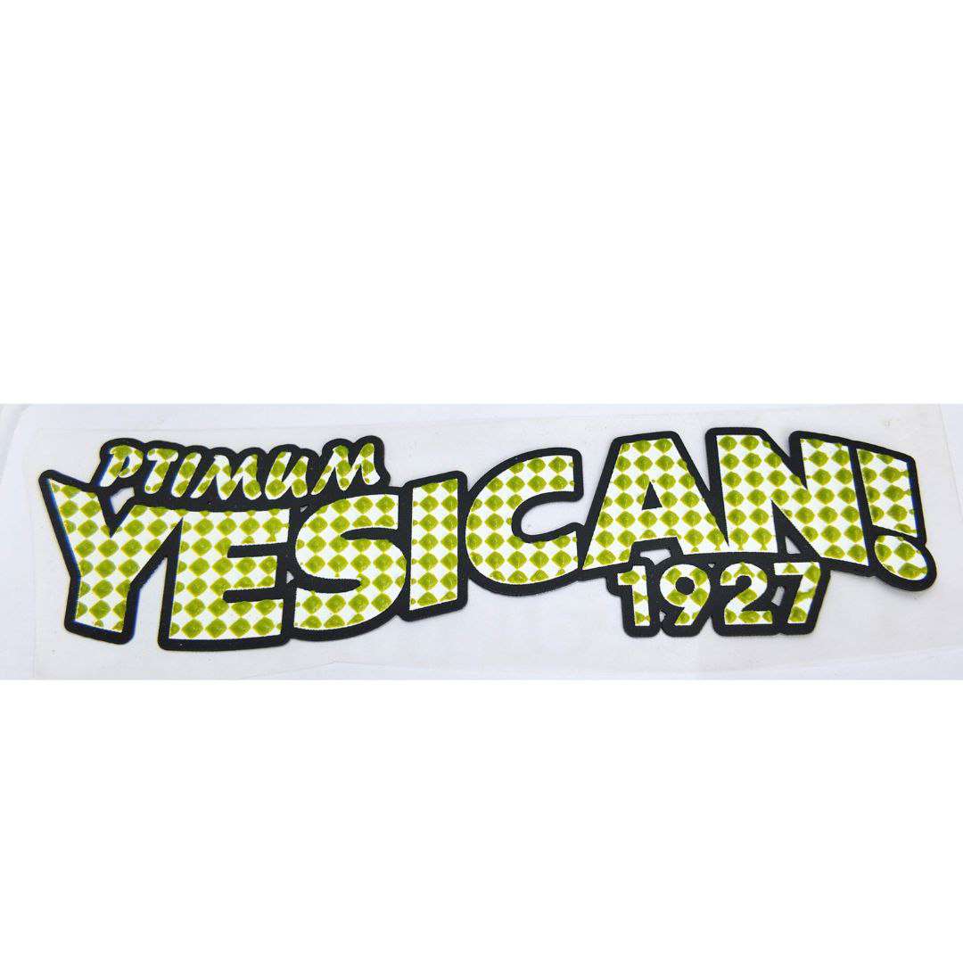 YES I CAN Silicon Chest Print