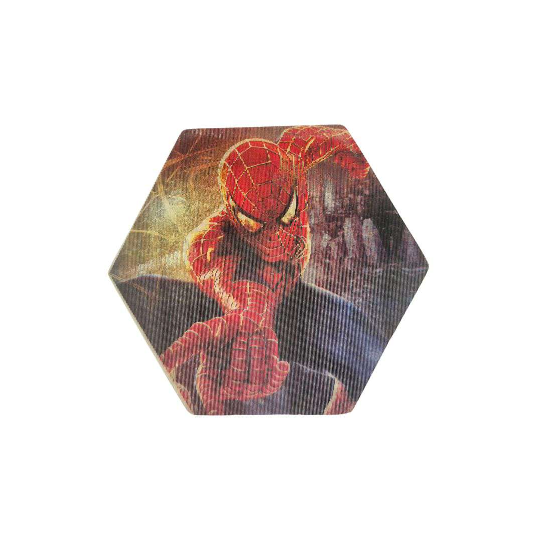 Spider and Spiderman 3D Picture Logo
